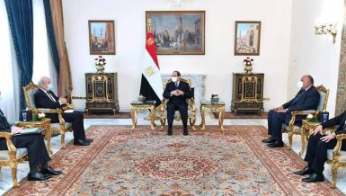 Egypt’s President Abdel Fattah Al-Sisi expressed, on Monday, Egypt's aspiration to benefit from French expertise in achieving its development plans.
