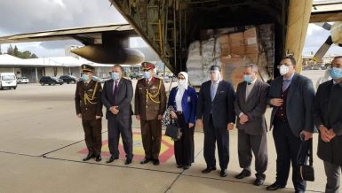 Egypt's humanitarian air bridge to Lebanon will continue until pandemic ends: Official