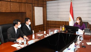Egypt, South Korea discuss bilateral cooperation, COVID-19 response