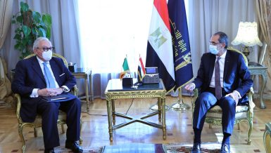 Egypt, Italy discuss cooperation in digital transformation, post services