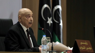 Speaker of Libyaâs House of Representative, Aguila Saleh