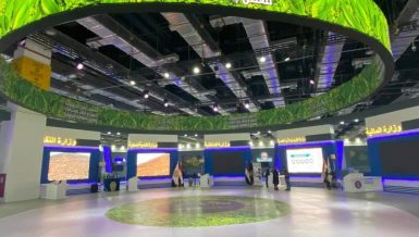 High turnout in vehicle replacement scheme at Go Green Exhibition
