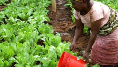AfDB, EIB sign action plan to fast-track development in Africa