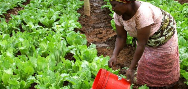 AfDB, EIB sign action plan to fast-track development in Africa