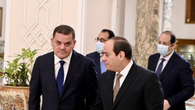 Egypt ready to offer expertise in supporting, consolidating Libya peace