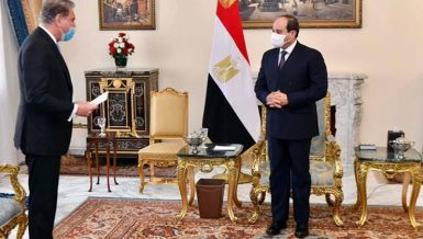 Egypt considers Pakistan one of largest Islamic countries in region: Al-Sisi
