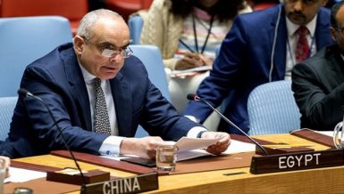 Ambassador Mohamed Idris Egypt's permanent representative to the UN