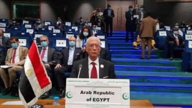 Ambassador Hamdi Sanad Loza, Egypt’s Deputy Minister of Foreign Affairs for African Affairs, is attending the two-day seventh regular session of Heads of State of the G5 Sahel summit in the Chadian capital N’Djamena