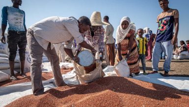 World Food Programme (WFP) aid workers and volunteers distribute lentils to refugee families in Village 8 refugee settlement, Sudan, November 2020. The UN Refugee Agency says that about 43,000 people have fled Ethiopia’s embattled Tigray region into neighbouring Sudan. © WFP/Arete/Joost Bastmeijer