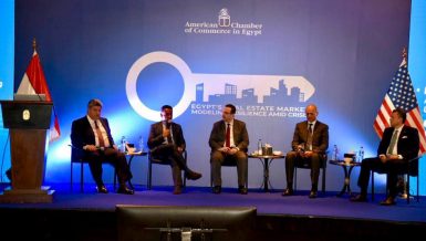 61 new cities developed on total area of 3.25m feddan: Assistant Housing Minister