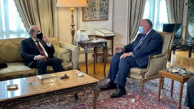 Egypt supports Lebanese break from deadlock impeding government formation: Shoukry