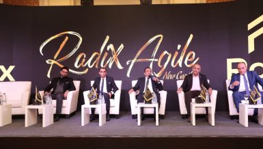 Radix Development