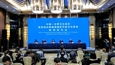 Chinese and WHO experts have completed their work in Wuhan as part of the global scientific research on the origin of the novel coronavirus, a National Health Commission official said at a press conference in Wuhan on Tuesday.