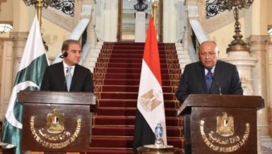 Egypt, Pakistan share strong political will to intensify relations: Shoukry