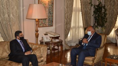 Shoukry affirms Egypt's support for Yemen achieving stability, development
