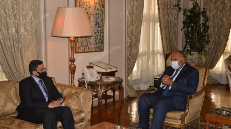 Shoukry affirms Egypt's support for Yemen achieving stability, development