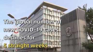 Global new COVID-19 cases have been declining for 5 straight weeks. Weekly new cases of COVID-19 have fallen by almost half.