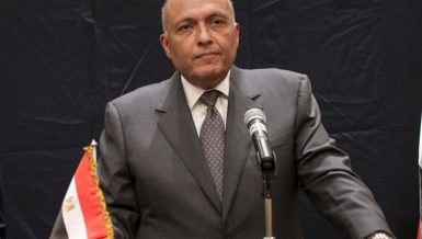 Shoukry, UN Middle East Envoy discuss support for Palestinian cause