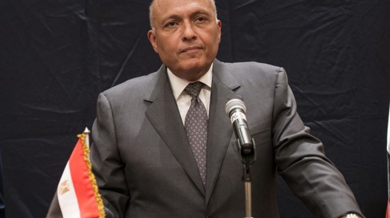 Shoukry, UN Middle East Envoy discuss support for Palestinian cause