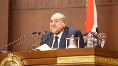 Egypt’s Senate elects heads, members of special committees
