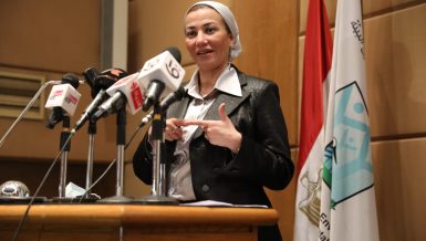 yasmine fouad