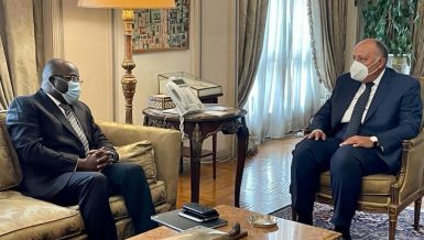 Egypt, Guinea discuss African issues of common interest