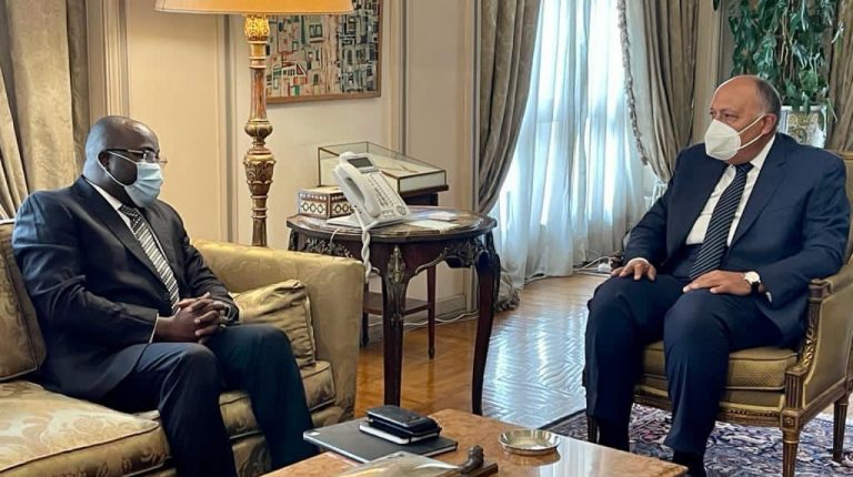 Egypt, Guinea discuss African issues of common interest