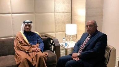 Shoukry meets Qatar’s Al Thani for 1st time since 2017 boycott