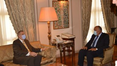 Egypt‘s Shoukry, Greek counterpart discuss bilateral cooperation, regional issues