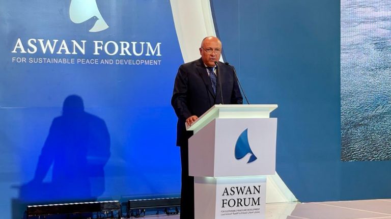 Aswan Forum II: Egypt FM asserts importance of joint African action in achieving peace, development