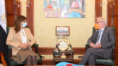 Egypt emphasises enhanced cooperation with Africa to address migration issues