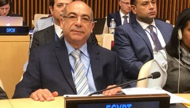 Mohamed Idris, Egypt's permanent representative to the UN in New York