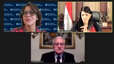 2020 was year of upheaval, renewal: Minister Al-Mashat