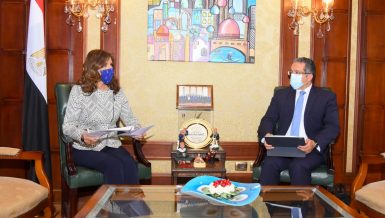 Government discusses tourism programmes for Egyptian expats