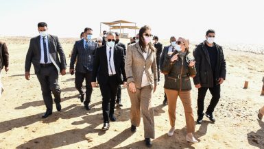 Egypt explores investment opportunities in Petrified Forest