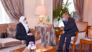 Egypt’s Health Minister, Aboul Gheit discuss support for Arab countries amid COVID-19