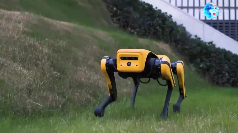 A "dog" with a smart brain! Chinese researchers have unveiled an upgraded four-legged robot.