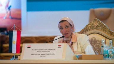 Environment Minister highlights Egypt’s climate efforts at regional meeting