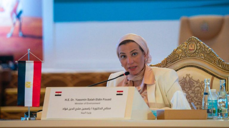 Environment Minister highlights Egypt’s climate efforts at regional meeting