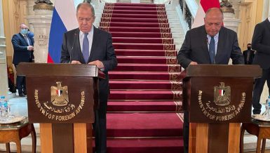 Egypt, Russia discuss cooperation projects, regional issues