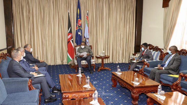 Egypt explains its position on GERD to African leaders