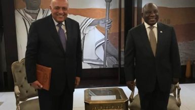 Egypt, South Africa discuss latest GERD developments