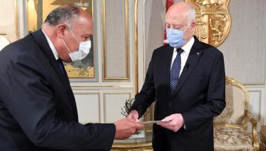 Egyptâs Shoukry, Tunisian President discuss regional developments, GERD updates