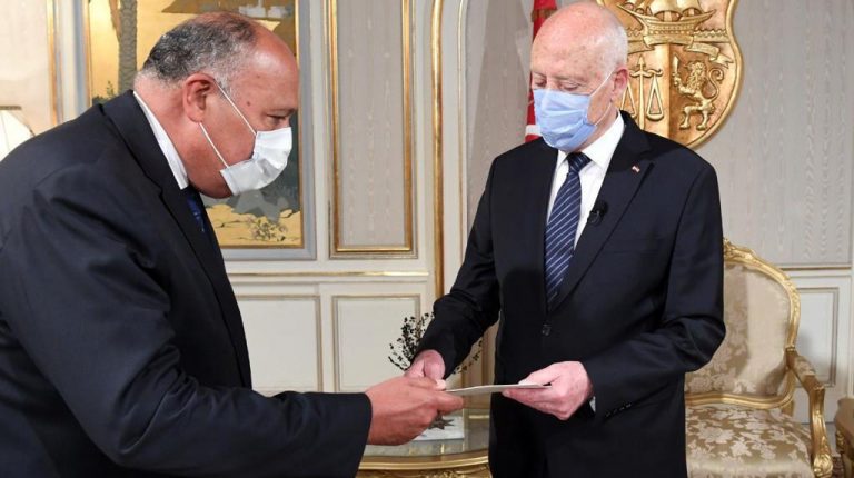Egypt’s Shoukry, Tunisian President discuss regional developments, GERD updates