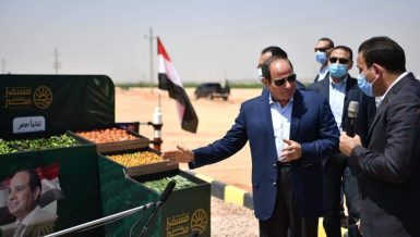 Egypt's Al-Sisi inspects harvest season of mega agricultural project in Western Desert