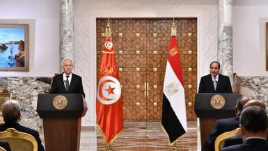 Egypt, Tunisia agree on Libya support, cooperation on African topics