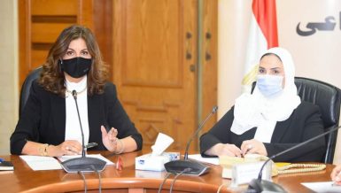 Egypt forms technical committee to train expatriate returnees