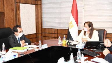 Egypt, Japan discuss future cooperation aspects