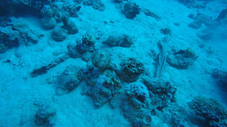 Egypt discovers mid-18th Century shipwreck by Saadana Island in Red Sea