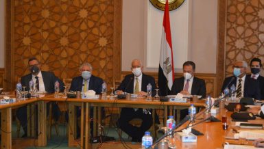 Egyptian-African Relations Committee discusses strengthening Egypt’s stance in Africa